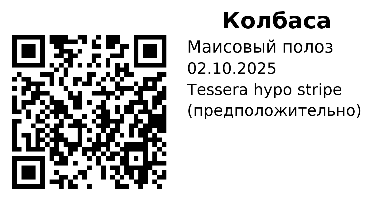 QR-карточка публичной страницы питомца