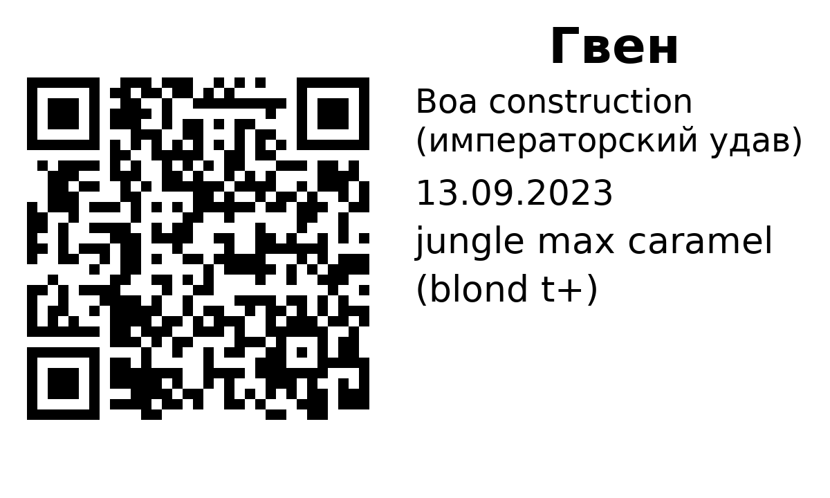 QR-карточка публичной страницы питомца