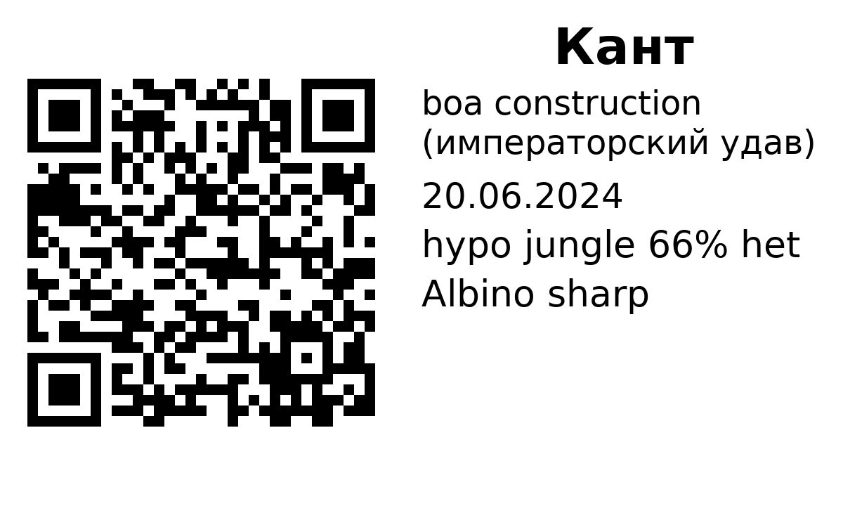 QR-карточка публичной страницы питомца