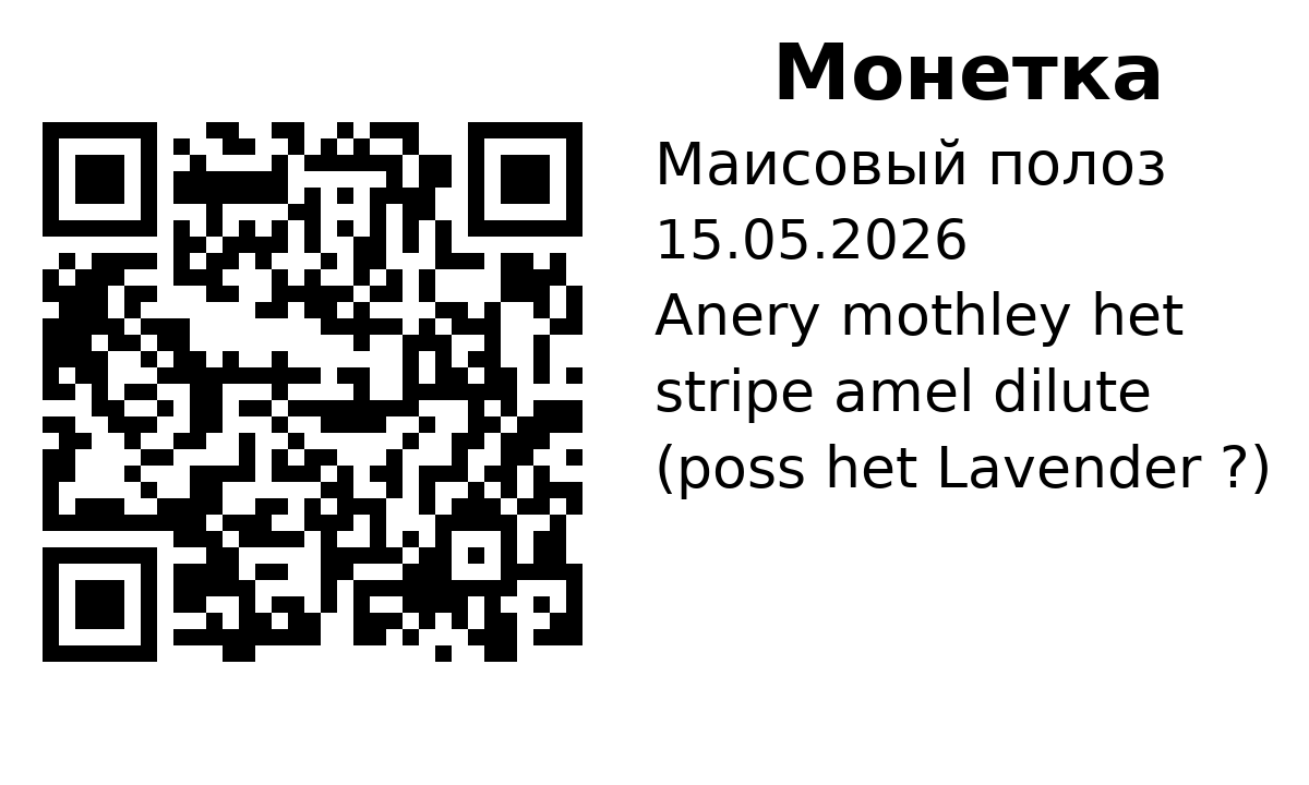 QR-карточка публичной страницы питомца